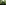 header treedom senec